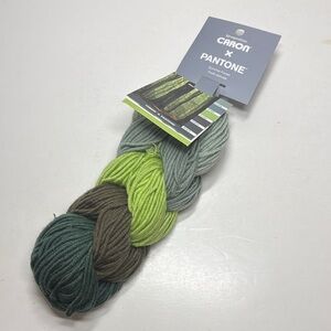 Caron Pantone Yarn Summer Forest Green Shades
